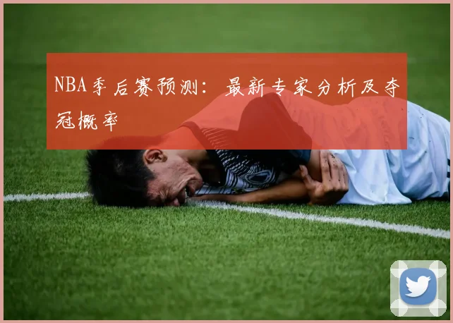 NBA季后赛预测：最新专家分析及夺冠概率