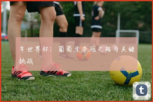 年世界杯：葡萄牙夺冠之路与关键挑战