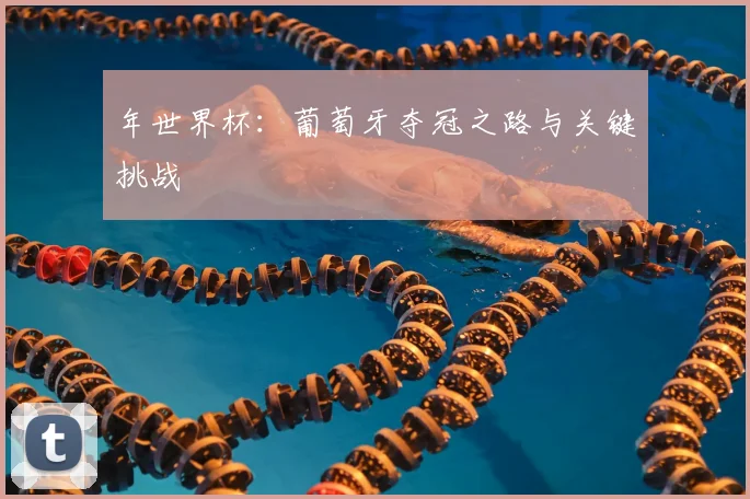 年世界杯：葡萄牙夺冠之路与关键挑战